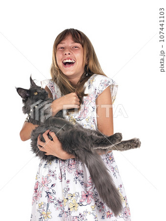 maine coon kitten and child 107441103
