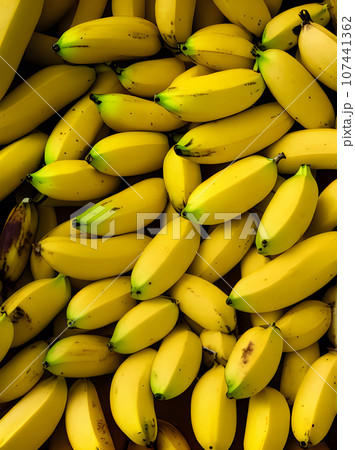 Realistic bananas closeup neutral palette warm lighting Realistic bananas closeup neutral palette warm lighting 107441362