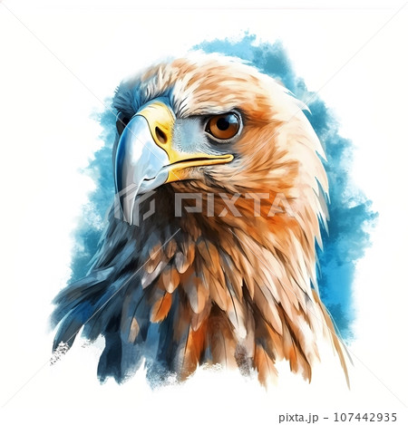 Watercolor eagle birdのイラスト素材 [107442935] - PIXTA