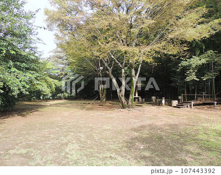 見沼通船堀公園 見沼通船堀公園 107443392