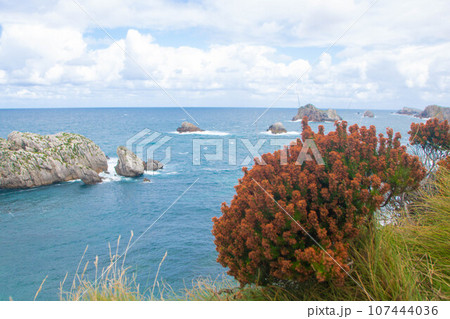 Landscape of costa quebrada in Cantabria 107444036