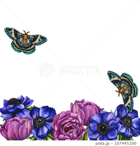 Vector illustration of flower composition, frame, pattern, bouquet for greeting card, background or flyer. Violet anemone, tulips and butterfly. March 8. International Women's Day. Mothers Day Vector illustration of flower composition, frame, pattern, bouquet for greeting card, background or flyer. Violet anemone, tulips and butterfly. March 8. International Women's Day. Mothers Day 107445200