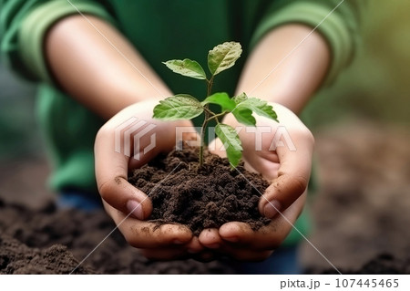 Close up focus on plant in male hands, eco-friendly company growth, bio agriculture development concept. Close up focus on plant in male hands, eco-friendly company growth, bio agriculture development concept. 107445465