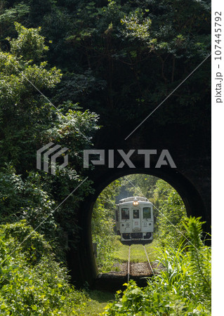 宮崎県日南市の緑に覆われた山間のトンネルを走行する日南線特急列車海幸山幸号 107445792