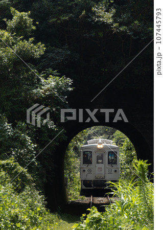 宮崎県日南市の緑に覆われた山間のトンネルを走行する日南線特急列車海幸山幸号 107445793
