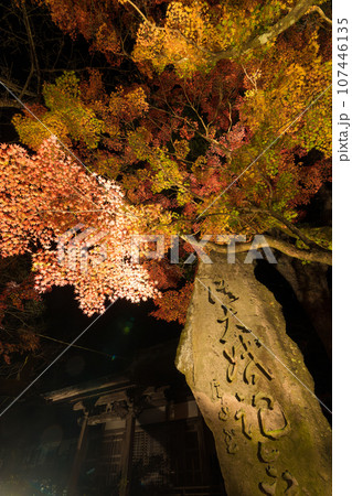 普現寺の紅葉ライトアップ(大分県臼杵市) 普現寺の紅葉ライトアップ(大分県臼杵市) 107446135