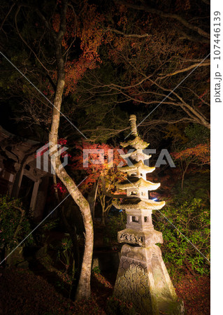 普現寺の紅葉ライトアップ(大分県臼杵市) 普現寺の紅葉ライトアップ(大分県臼杵市) 107446139