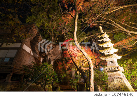 普現寺の紅葉ライトアップ(大分県臼杵市) 普現寺の紅葉ライトアップ(大分県臼杵市) 107446140