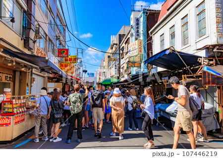 東京　中央区　観光客で賑わう築地場外市場 107446219