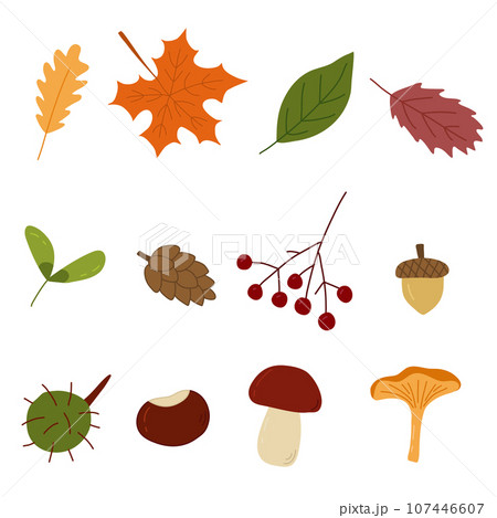 Set of autumn elements, leaves, berry, mushrooms, doodle style vector 107446607