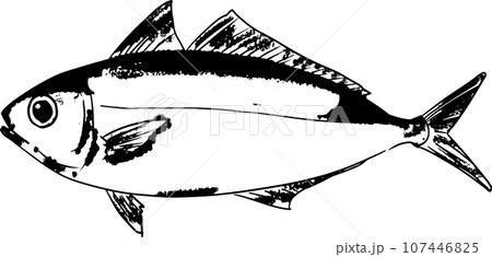 アジの魚拓イラスト 107446825