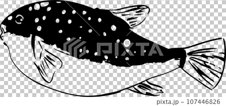 Fish print illustration of Kusafugu 107446826