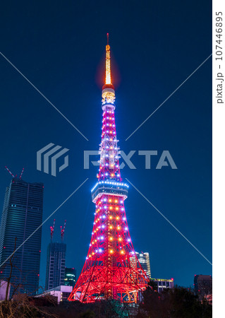 夜景「東京都」芝公園から眺めるライトアップした東京タワー 夜景「東京都」芝公園から眺めるライトアップした東京タワー 107446895