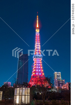 夜景「東京都」芝公園から眺めるライトアップした東京タワー 夜景「東京都」芝公園から眺めるライトアップした東京タワー 107446898