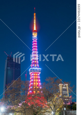 夜景「東京都」芝公園から眺めるライトアップした東京タワー 夜景「東京都」芝公園から眺めるライトアップした東京タワー 107446899