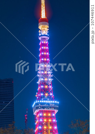 夜景「東京都」芝公園から眺めるライトアップした東京タワー 夜景「東京都」芝公園から眺めるライトアップした東京タワー 107446911