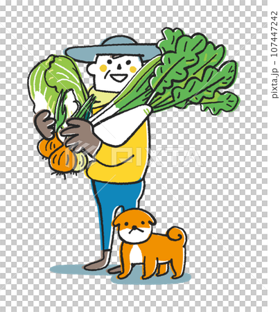 Autumn/winter sowing vegetables - Illustration material of a farmer or home gardener with lots of autumn/winter vegetables 107447242