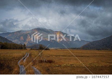 草紅葉の朝霧かかる尾瀬ケ原 草紅葉の朝霧かかる尾瀬ケ原 107447557