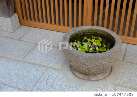 石臼がある風景 日本の玄関 石臼がある風景 日本の玄関 107447908