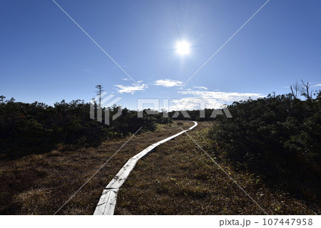 帝釈山から田代山へ、登山、福島県 帝釈山から田代山へ、登山、福島県 107447958