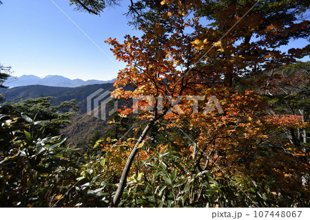帝釈山から田代山へ、登山、福島県 帝釈山から田代山へ、登山、福島県 107448067