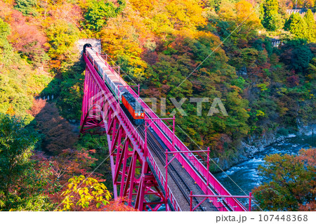 秋の黒部峡谷：新山彦橋を走るトロッコ電車 107448368