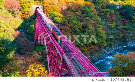 秋の黒部峡谷：新山彦橋を走るトロッコ電車 107448369