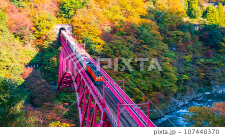 秋の黒部峡谷:新山彦橋を走るトロッコ電車 秋の黒部峡谷:新山彦橋を走るトロッコ電車 107448370