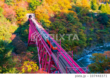 秋の黒部峡谷：新山彦橋を走るトロッコ電車 107448371