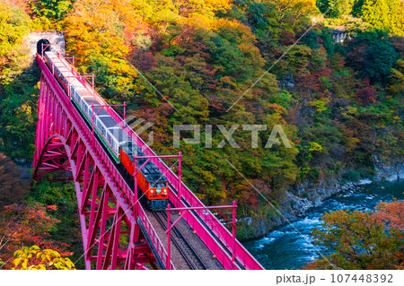 秋の黒部峡谷:新山彦橋を走るトロッコ電車 秋の黒部峡谷:新山彦橋を走るトロッコ電車 107448392