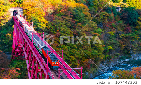 秋の黒部峡谷：新山彦橋を走るトロッコ電車 107448393