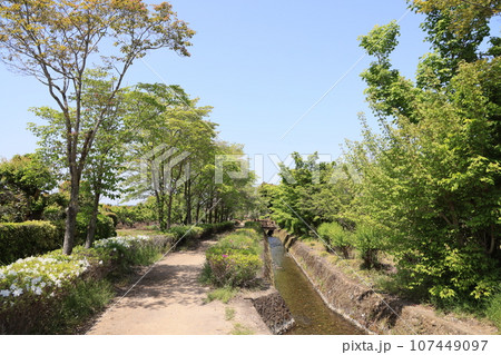 雄川堰一番口取水口 107449097