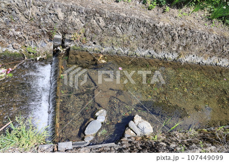 雄川堰一番口取水口 雄川堰一番口取水口 107449099
