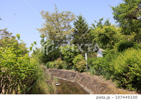 雄川堰一番口取水口 107449100