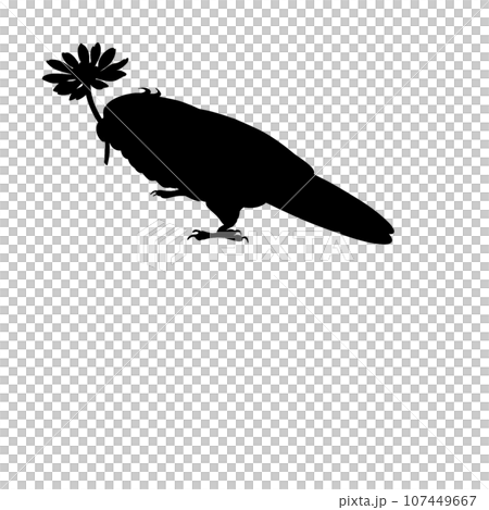 藍鳥嘴裡叼著一朵黃花 107449667