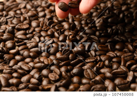 コーヒー豆 107450008