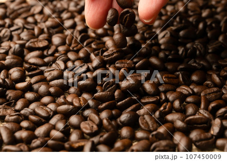 コーヒー豆 コーヒー豆 107450009