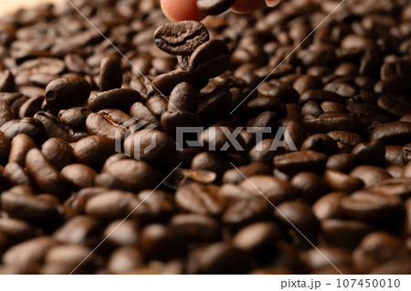 コーヒー豆 107450010