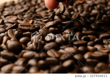 コーヒー豆 コーヒー豆 107450011