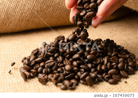 コーヒー豆 コーヒー豆 107450075
