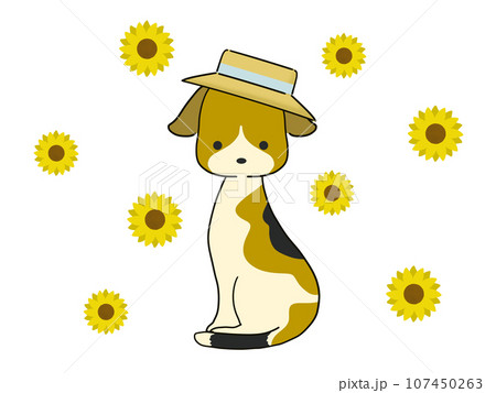 麦藁帽子をかぶったビーグル犬と向日葵のイラスト 107450263