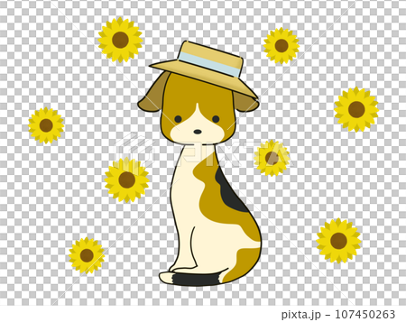 麦藁帽子をかぶったビーグル犬と向日葵のイラスト 107450263