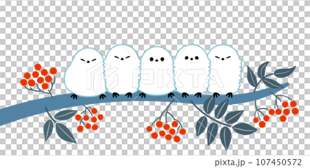 長尾飛蛾停留在羅文樹上的插圖 長尾飛蛾停留在羅文樹上的插圖 107450572