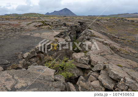 Grjotagja lava cave and fissure in Myvatn, Iceland. 107450652