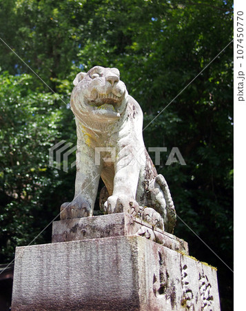 鞍馬寺 狛犬 鞍馬寺 狛犬 107450770