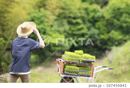 若い男性　農業イメージ 107450841