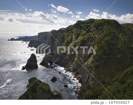 北山崎　海のアルプスと讃えられる断崖　岩手県田野畑村（ドローンによる空撮） 107450927