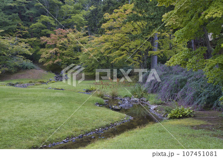 世界遺産 毛越寺 遣水 岩手県平泉町 世界遺産 毛越寺 遣水 岩手県平泉町 107451081
