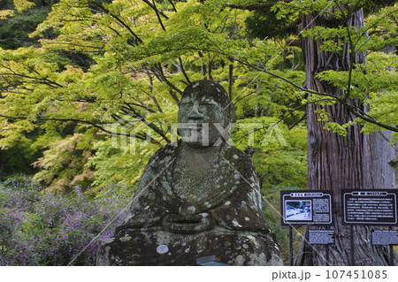 世界遺産 毛越寺 お地蔵様 岩手県平泉町 世界遺産 毛越寺 お地蔵様 岩手県平泉町 107451085
