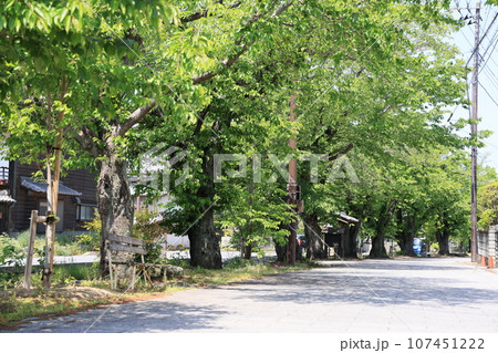 群馬県甘楽町小幡の雄川の流れと小幡の風景 107451222